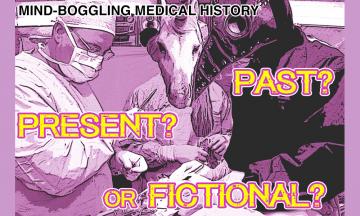 Surgeon, plague doctor, and unicorn